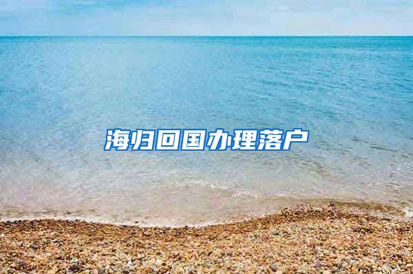 海归回国办理落户