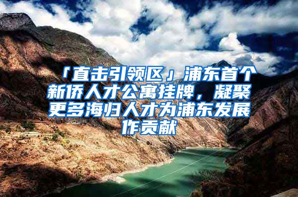 「直击引领区」浦东首个新侨人才公寓挂牌，凝聚更多海归人才为浦东发展作贡献