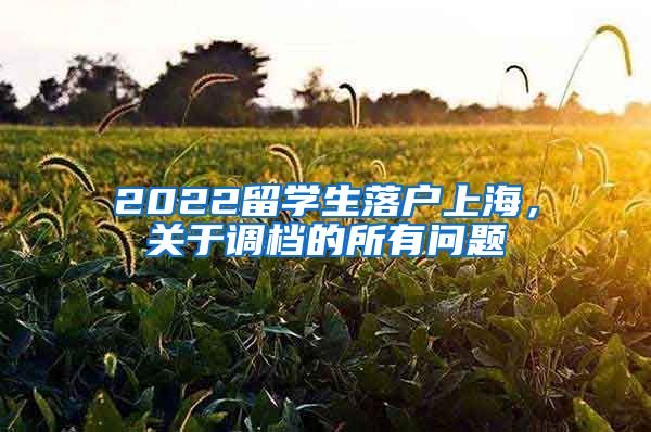 2022留学生落户上海，关于调档的所有问题