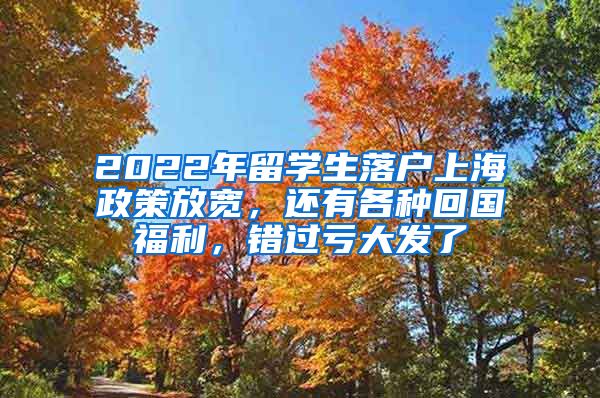 2022年留学生落户上海政策放宽，还有各种回国福利，错过亏大发了