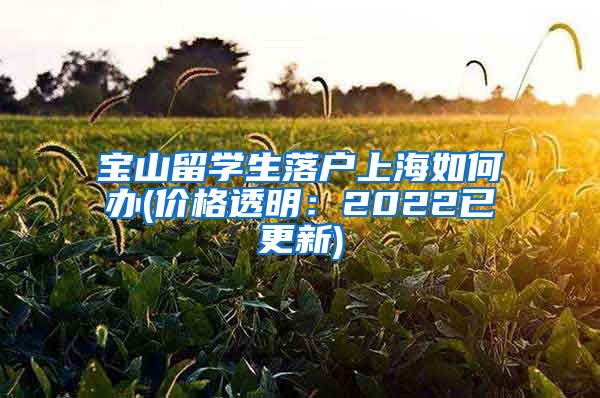 宝山留学生落户上海如何办(价格透明：2022已更新)