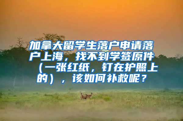 加拿大留学生落户申请落户上海，找不到学签原件（一张红纸，钉在护照上的），该如何补救呢？