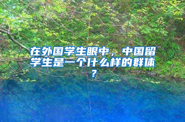 在外国学生眼中，中国留学生是一个什么样的群体？