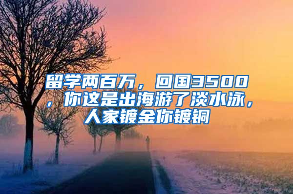 留学两百万，回国3500，你这是出海游了淡水泳，人家镀金你镀铜