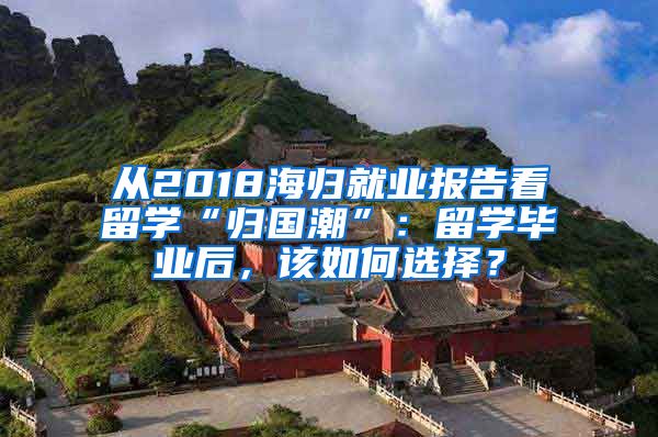 从2018海归就业报告看留学“归国潮”：留学毕业后，该如何选择？