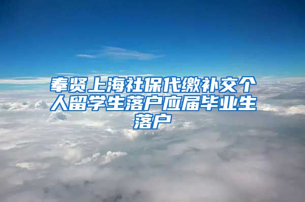 奉贤上海社保代缴补交个人留学生落户应届毕业生落户