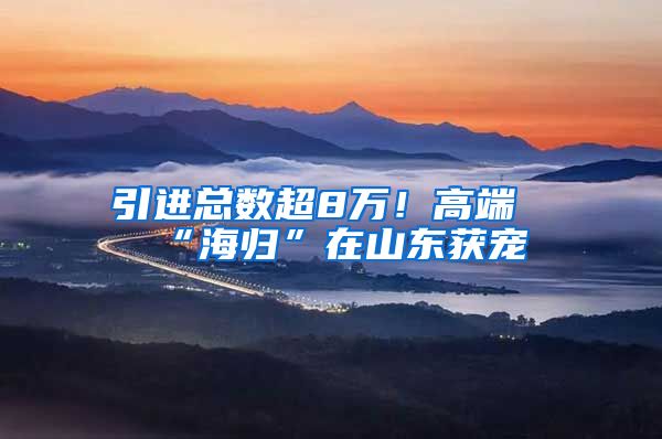 引进总数超8万！高端“海归”在山东获宠