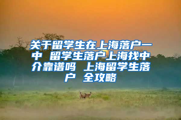 关于留学生在上海落户一中 留学生落户上海找中介靠谱吗 上海留学生落户 全攻略