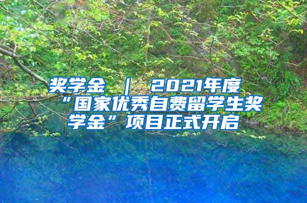 奖学金 ｜ 2021年度“国家优秀自费留学生奖学金”项目正式开启