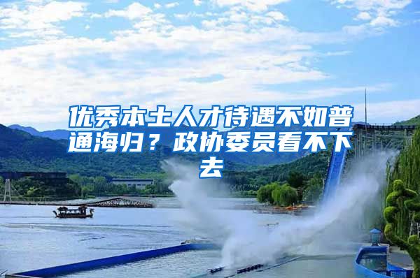 优秀本土人才待遇不如普通海归？政协委员看不下去