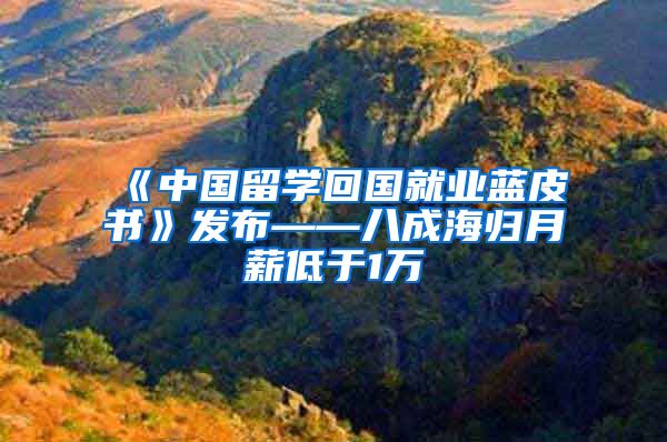 《中国留学回国就业蓝皮书》发布——八成海归月薪低于1万