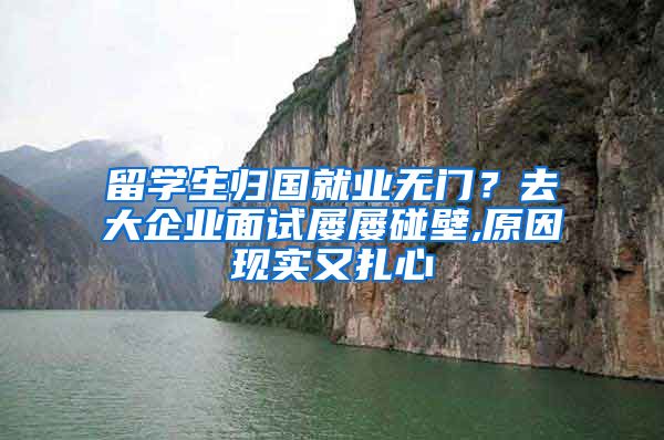 留学生归国就业无门？去大企业面试屡屡碰壁,原因现实又扎心