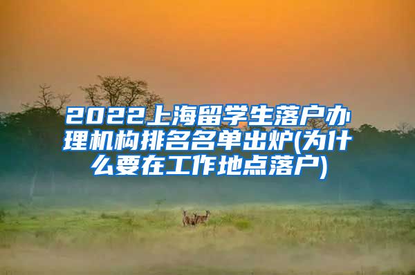 2022上海留学生落户办理机构排名名单出炉(为什么要在工作地点落户)