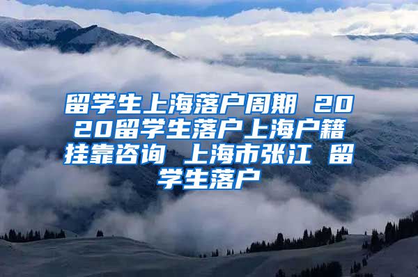 留学生上海落户周期 2020留学生落户上海户籍挂靠咨询 上海市张江 留学生落户