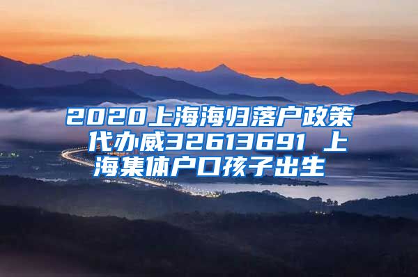 2020上海海归落户政策 代办威32613691 上海集体户口孩子出生