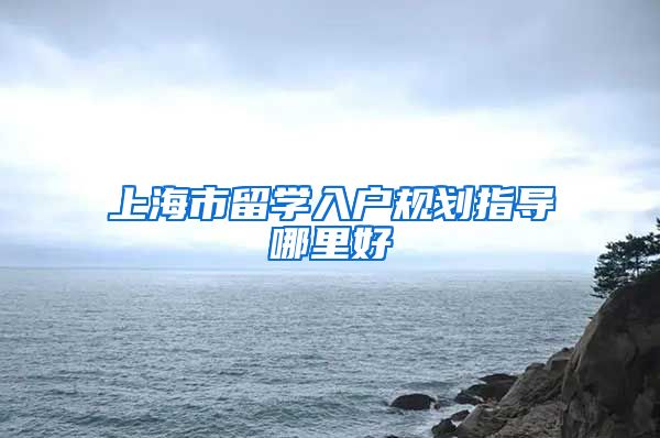 上海市留学入户规划指导哪里好