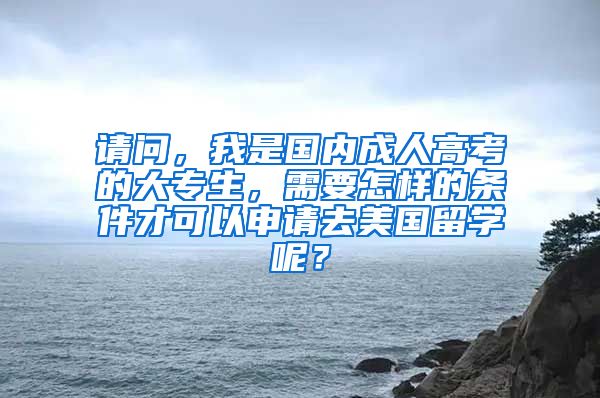 请问，我是国内成人高考的大专生，需要怎样的条件才可以申请去美国留学呢？