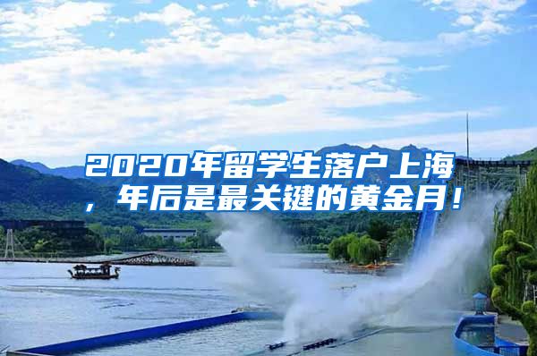 2020年留学生落户上海，年后是最关键的黄金月！