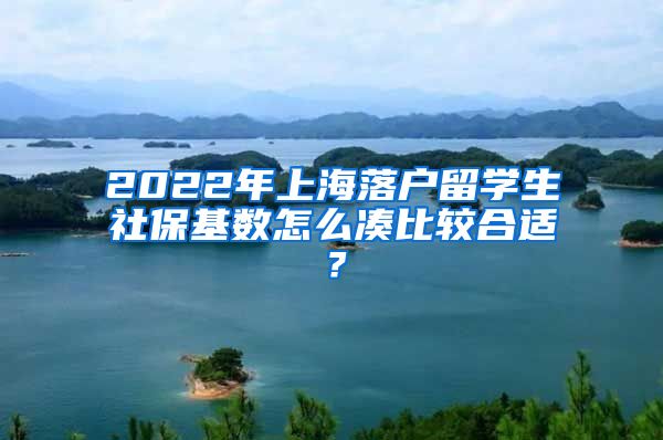 2022年上海落户留学生社保基数怎么凑比较合适？