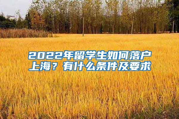 2022年留学生如何落户上海？有什么条件及要求