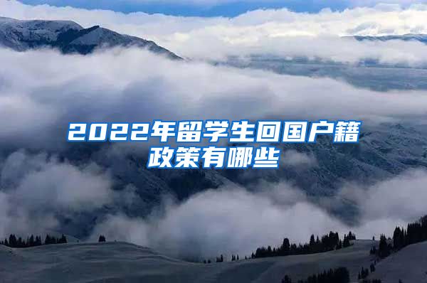 2022年留学生回国户籍政策有哪些