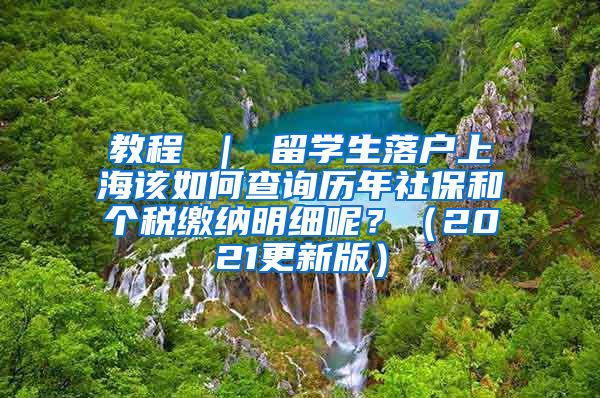 教程 ｜ 留学生落户上海该如何查询历年社保和个税缴纳明细呢？（2021更新版）