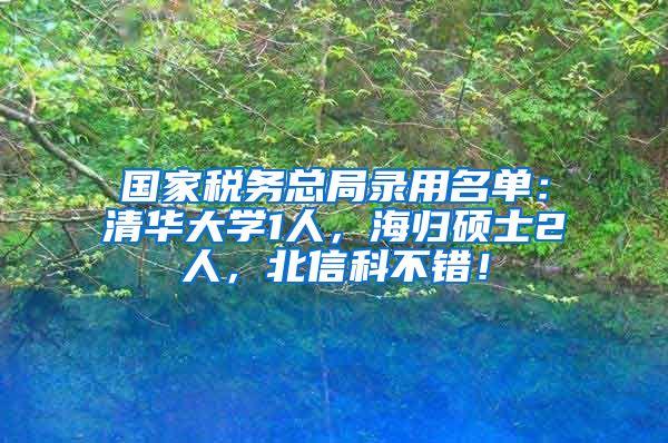 国家税务总局录用名单：清华大学1人，海归硕士2人，北信科不错！