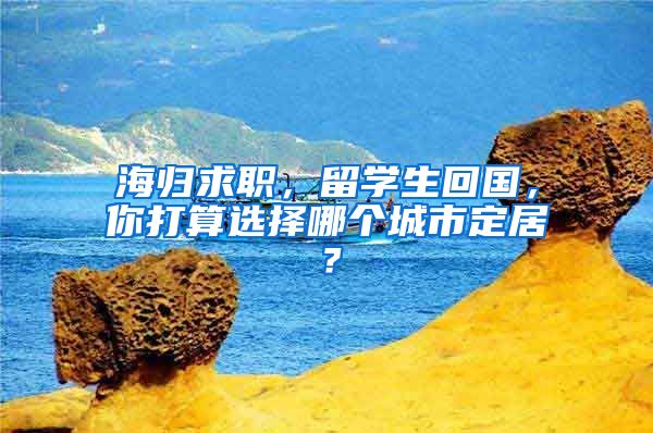 海归求职，留学生回国，你打算选择哪个城市定居？