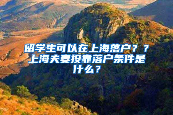 留学生可以在上海落户？？上海夫妻投靠落户条件是什么？