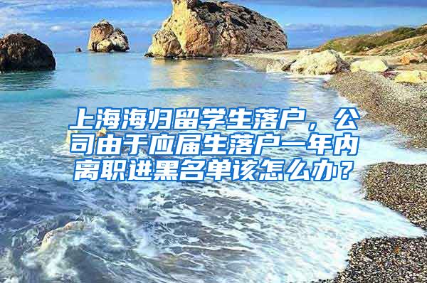 上海海归留学生落户，公司由于应届生落户一年内离职进黑名单该怎么办？