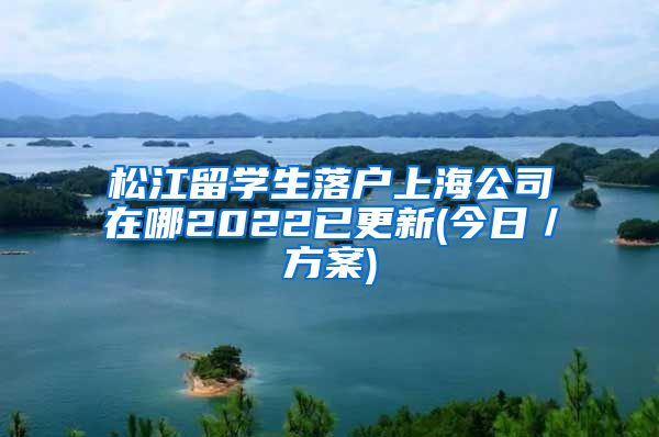 松江留学生落户上海公司在哪2022已更新(今日／方案)