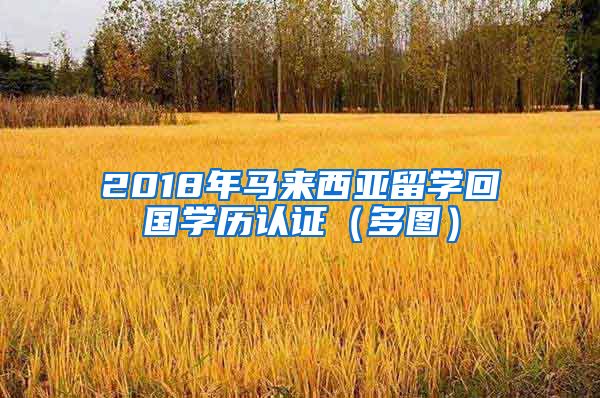 2018年马来西亚留学回国学历认证（多图）