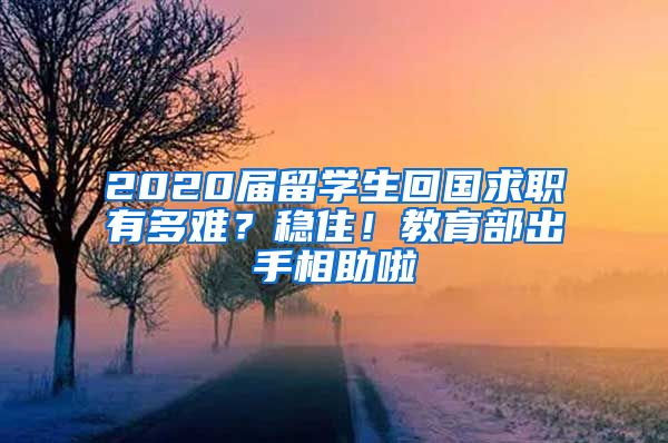 2020届留学生回国求职有多难？稳住！教育部出手相助啦