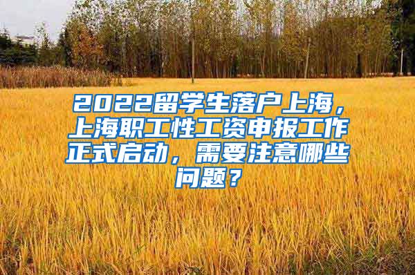 2022留学生落户上海，上海职工性工资申报工作正式启动，需要注意哪些问题？