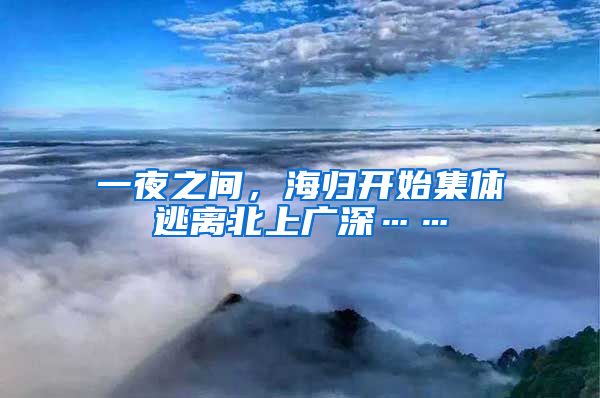 一夜之间，海归开始集体逃离北上广深……