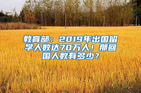 教育部：2019年出国留学人数达70万人！那回国人数有多少？