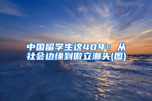 中国留学生这40年：从社会边缘到傲立潮头(图)