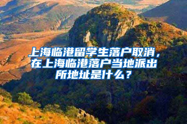 上海临港留学生落户取消，在上海临港落户当地派出所地址是什么？