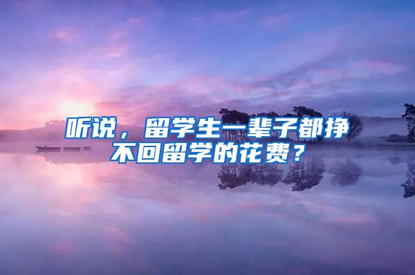 听说，留学生一辈子都挣不回留学的花费？