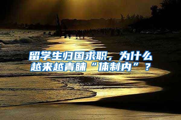 留学生归国求职，为什么越来越青睐“体制内”？