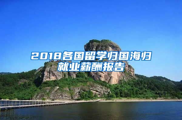 2018各国留学归国海归就业薪酬报告