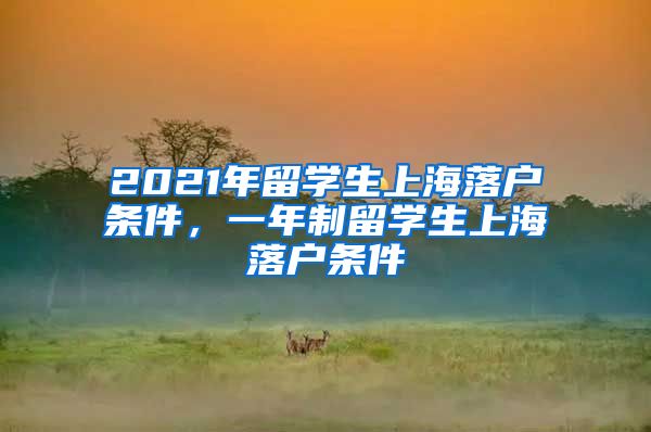 2021年留学生上海落户条件，一年制留学生上海落户条件