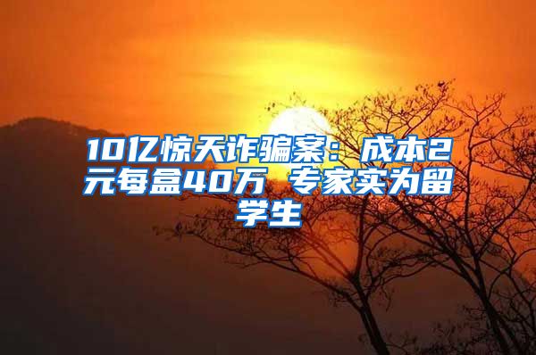 10亿惊天诈骗案：成本2元每盒40万 专家实为留学生