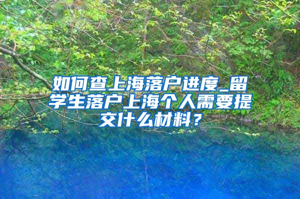 如何查上海落户进度_留学生落户上海个人需要提交什么材料？