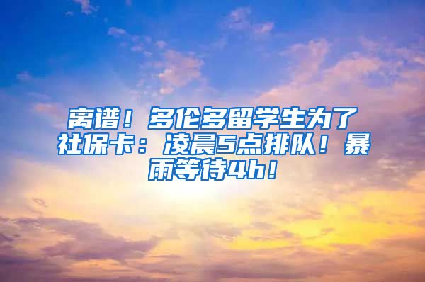 离谱！多伦多留学生为了社保卡：凌晨5点排队！暴雨等待4h！