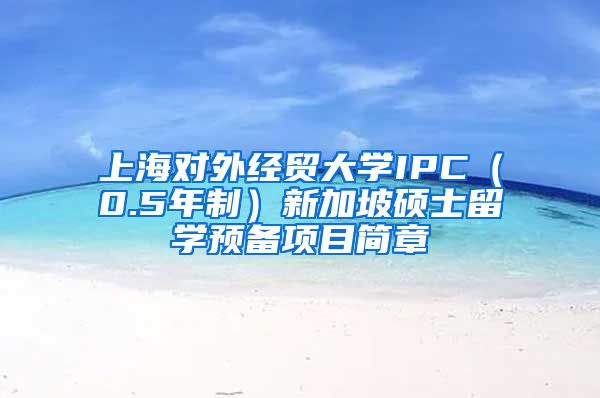 上海对外经贸大学IPC（0.5年制）新加坡硕士留学预备项目简章