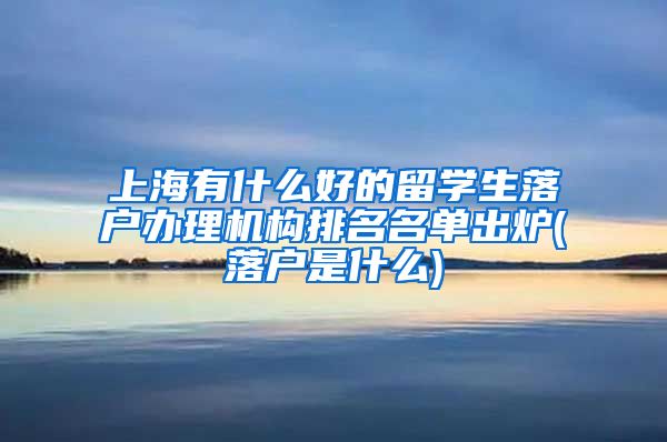 上海有什么好的留学生落户办理机构排名名单出炉(落户是什么)