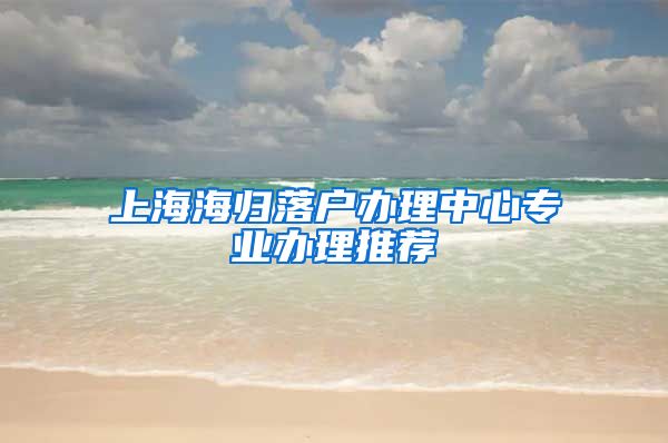 上海海归落户办理中心专业办理推荐