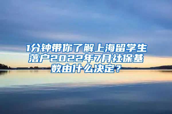 1分钟带你了解上海留学生落户2022年7月社保基数由什么决定？