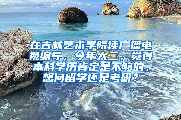 在吉林艺术学院读广播电视编导，今年大二，觉得本科学历肯定是不够的，想问留学还是考研？